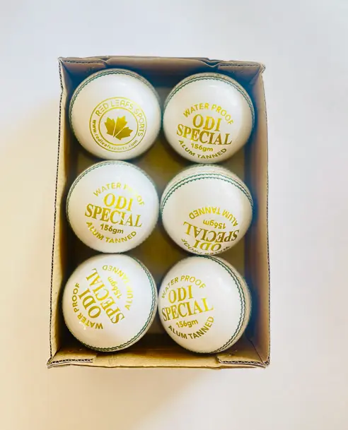 Screenshot 2025-10-29 150303.webp