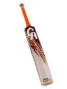 PLUS-10000-CRICKET-BAT4_900x_9fbe92d3-969f-4f5c-94f9-a3213684fe9f_670x.webp