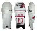 NdEu-ss-college-cricket-batting-pads-1_grande.webp