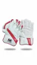 NK Wicket Keeping Gloves