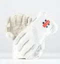 Gray Nicolls Classic Select Wicket Keeping Gloves