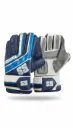 SS Indoor Wicket Keeping Gloves