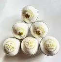 Red Leafs CLUB Cricket Leather Ball