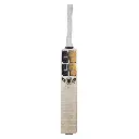SS Players 5000 English Willow Cricket Bat