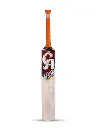 DSC Intense Attitude English Willow Bat